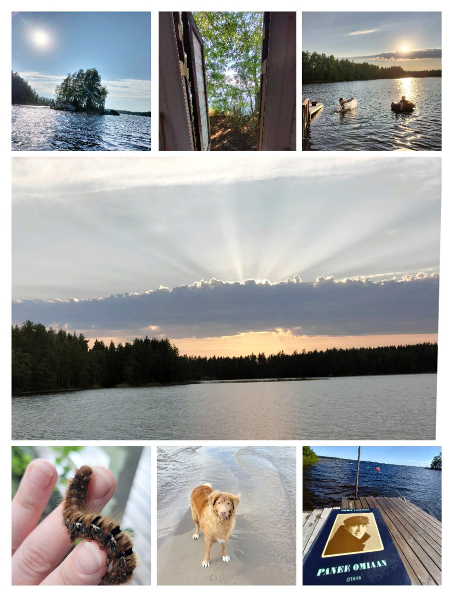 DrAijaOksman's tweet photo. Bliss.

#summerholidays #researchbreak #phdlife #phd #research #phdvoice #AcademicChatter #finland #HomeSweetHome https://t.co/Vp5dURcJLw