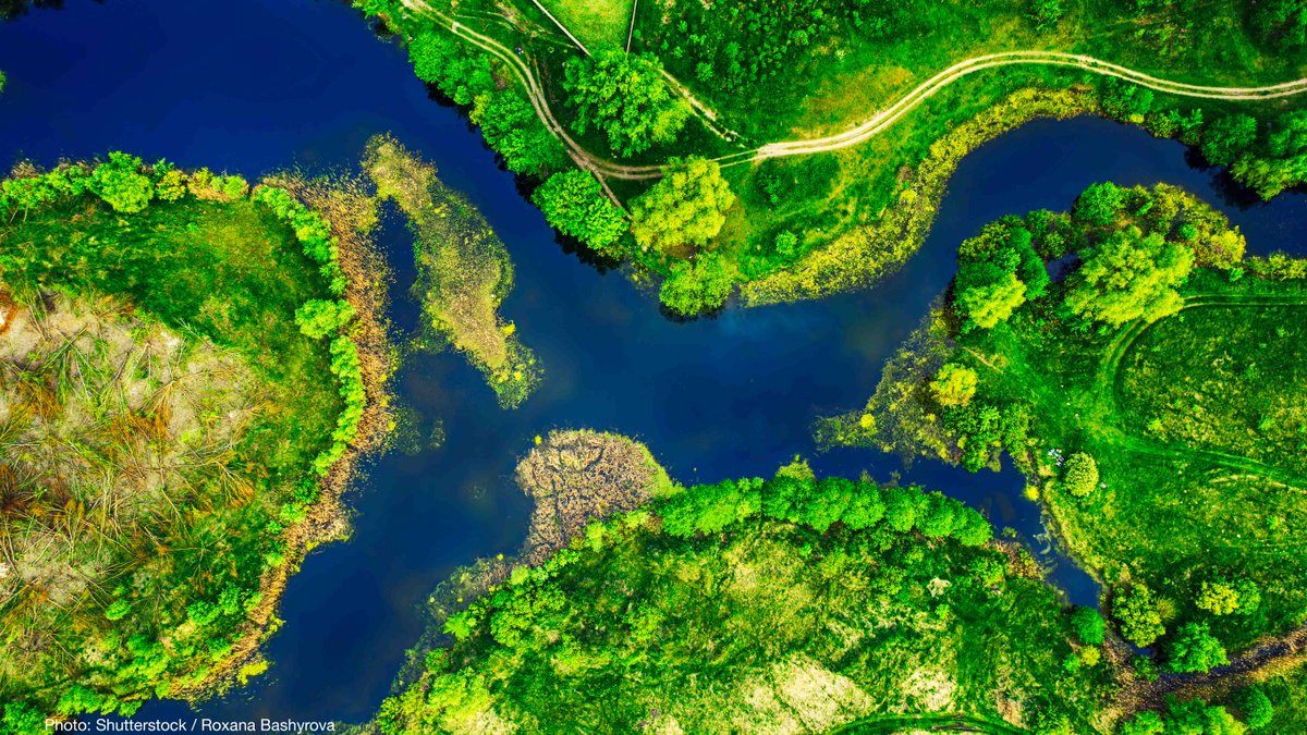 IUCN's tweet image. How can effectively implemented #EcosystemBasedAdaptation approaches support successful achievement of the #SDGs?

📢 Our new paper with @FriendsofEbA and @SwedBio explains.
 
➡️ bit.ly/3O4bzSE