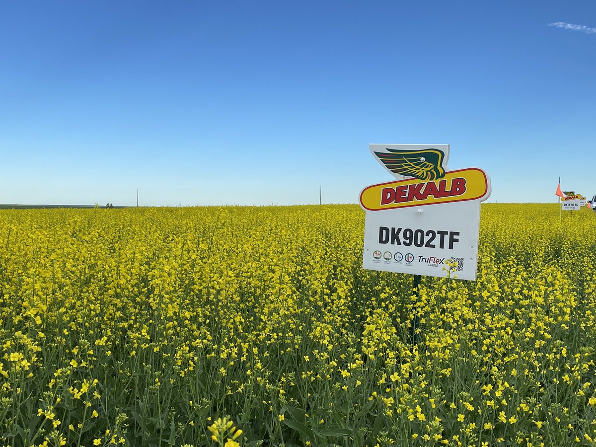 MegDesjardins's tweet photo. Just Another Day in Paradise! Getting ready for another @Bayer4CropsCA @DEKALB_Canada Tour Day and had to snap some glamour shots! ๐Come check out our BRAND-NEW Products at a Local Tour! #westcdnag #ABag #ButeoStart #Canola #scout22 https://t.co/AalMlPCp4u