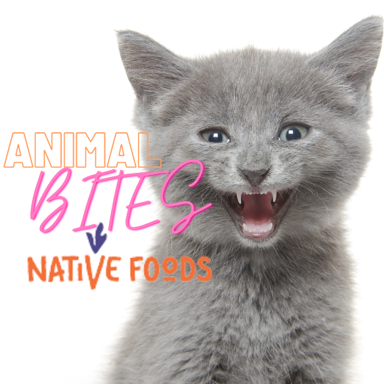 PAnimalAid's tweet photo. TONIGHT'S THE NIGHT FOR ANIMAL BITES

Take an ANIMAL BITE at Native Foods Cafe in Boulder. They're donating to Project V.E.T.S. -you can help by eating between 4pm and 8pm tonight. We need 20 people to RSVP for them to donate. Click the link below to RSVP

https://t.co/JqL0p8tfQh https://t.co/tOdjydGTTr