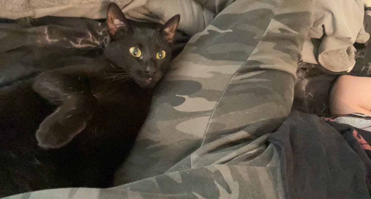 DemonDerii's tweet photo. Anytime I move I get clawed 😅 send help https://t.co/yIsLAC3u2j