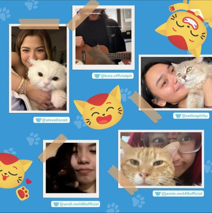 Kringles88's tweet photo. Hello #ChiFu
#AlEian
#AlexaIlacad #EianRances https://t.co/eX1qEp6Ia5