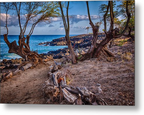 findthebestart's tweet photo. Ala Kahakai Path... GET IT: https://t.co/RVoVc0Gtki
#hawaiiart #bigislandart #bigislandofhawaii #oceanfront #oceanpath #oceanart #ilovewater #waterart #hawaiipath #lovehawaii #hapunabeach #alakahakaipath #walkingpath #homedecor #homedecorideas #BuyIntoArt #FindArtThisSummer https://t.co/yCs7VzRC4Z