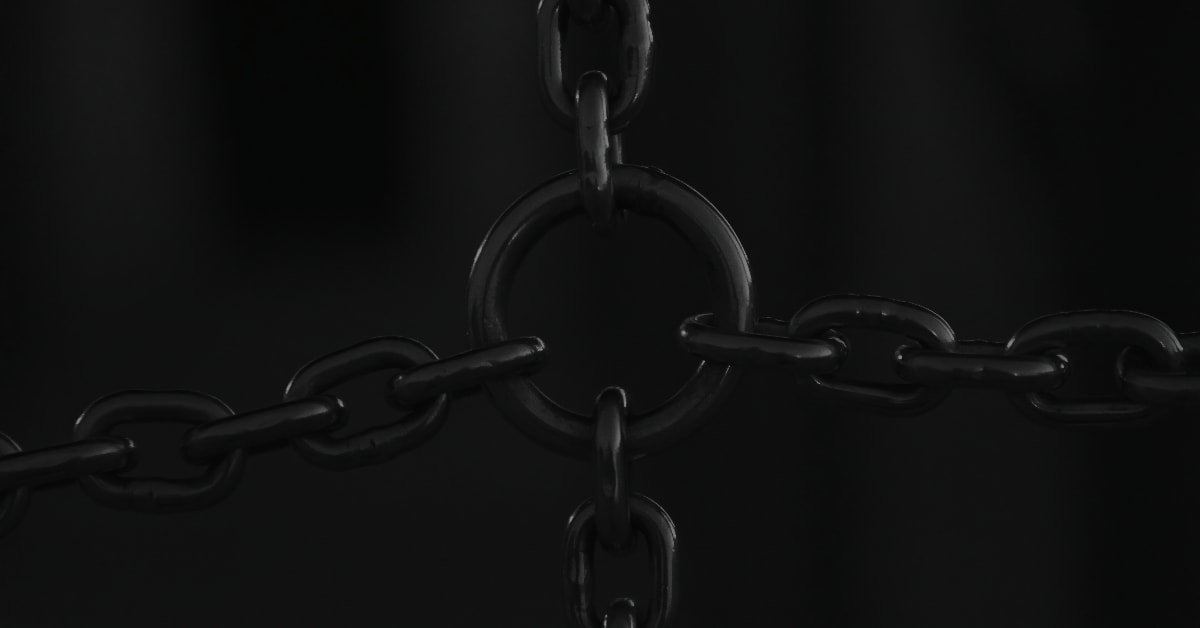 Steve (Not Alex) tweet media