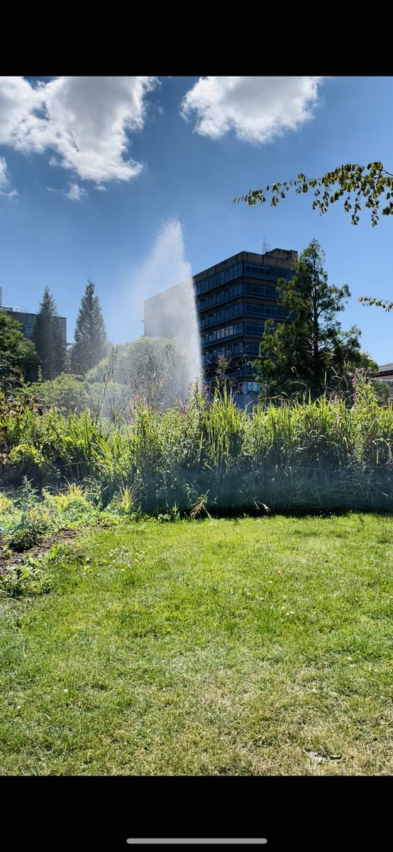 Had a great time at the <a href="/SeNSSDTP/">SeNSS DTP</a> summer conference last week. 

Met some really great people, discussed a whole lot of AI, interviewed, made a poster and gave a short talk. Even got a taster of podcasting! A real fulfilling event.

Also, Surrey has a beautiful University campus!