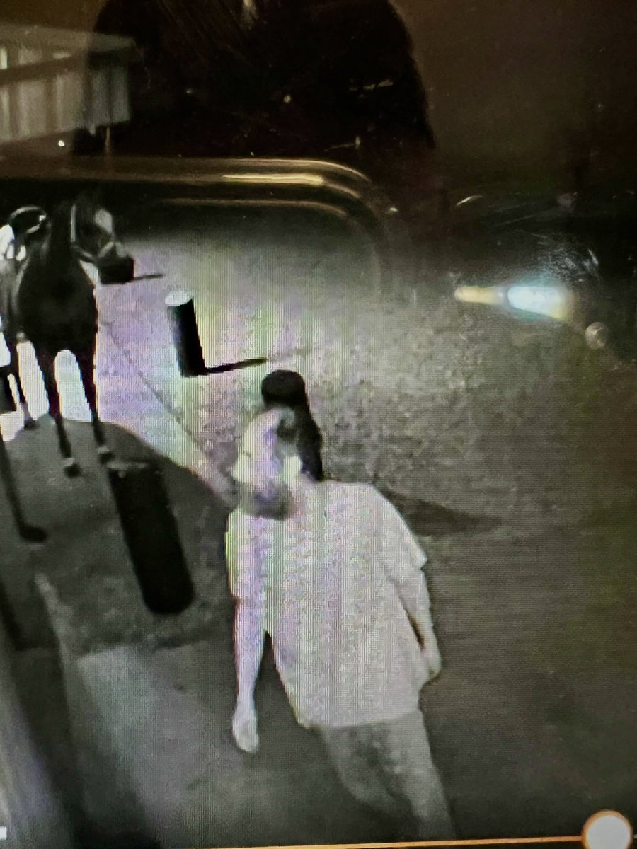 RandyGrim's tweet image. The rescue ranch was robbed, vandalized and worse the released the horses. O’Fallon Illinois and this is the guy who did it. Call O’Fallon police if you know who this is