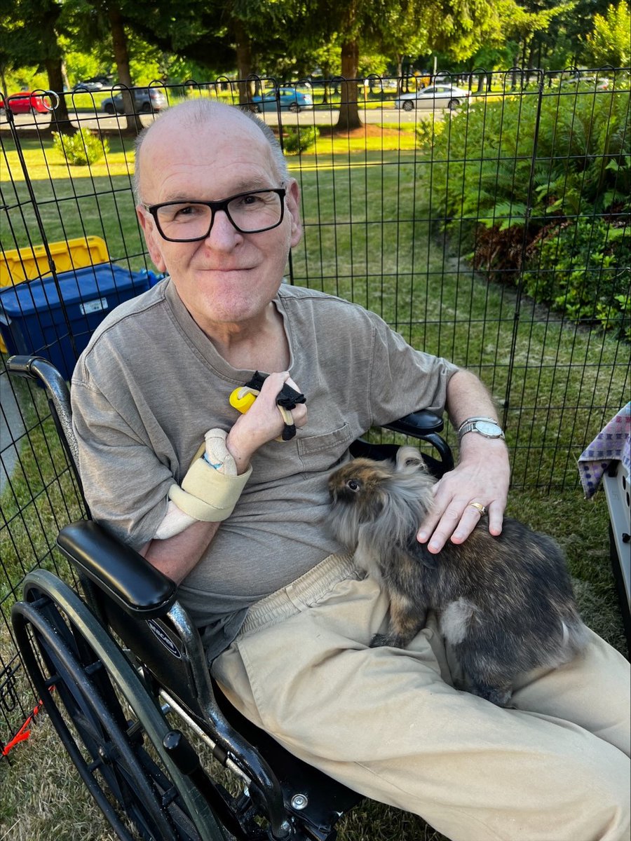 livebonaventure's tweet photo. Residents loved visits from some cheeky animals during our pet fest!

#retirementperfected #seniors #seniorliving #pets #petfest #animals #bunny #turtle https://t.co/S75FbG2yPh