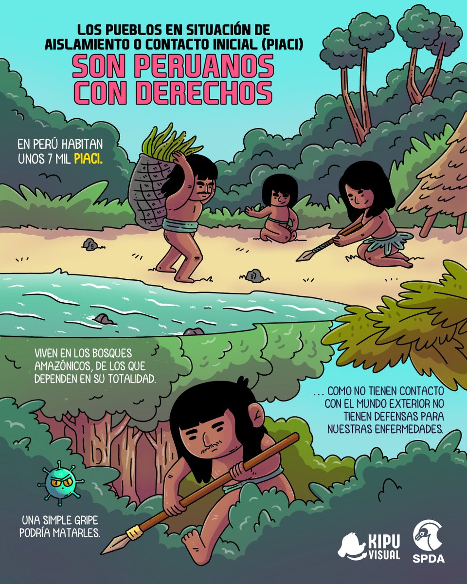 Orpioloreto's tweet photo. En nuestro país existen siete mil peruanos pertenecientes a Pueblos Indígenas u Originarios en Situación de Aislamiento y en Situación de Contacto Inicial (PIACI). https://t.co/CYsvgCLW3i