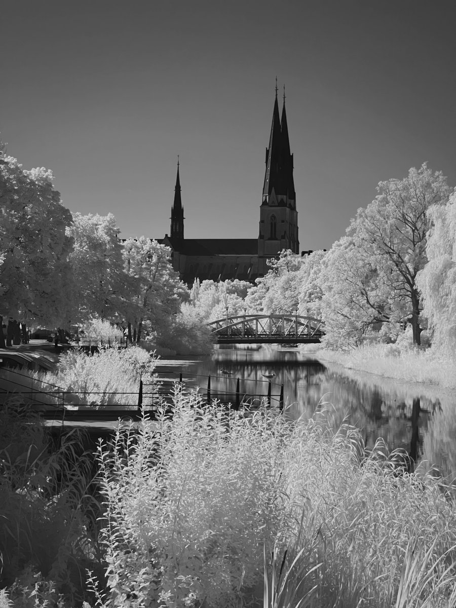 Brian Suda tweet media