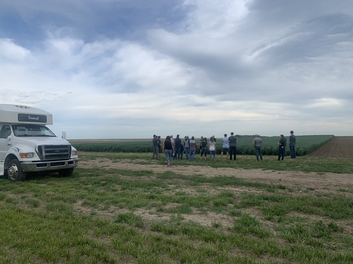 QuattroSeeds's tweet photo. Stop #1 Oats #fpgenetics @CordonGeisam #seedtour2022 https://t.co/HEPuoNE19Q