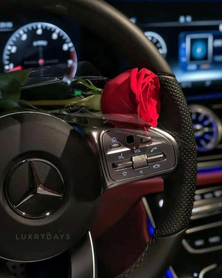 ml_e11's tweet photo. ثم يأتي من يحمل لكِ الحب في قلبه وقوله و فعله.♥️ https://t.co/tdZHqpFpVy
