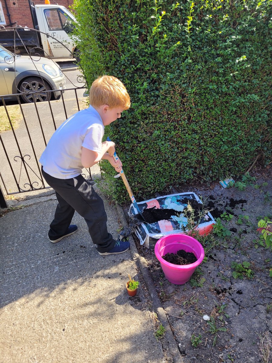 VikkiG1985's tweet photo. @CGPrimarySchool Aidan has repotted the carrots he grew at school https://t.co/1YMndwj2Rq
