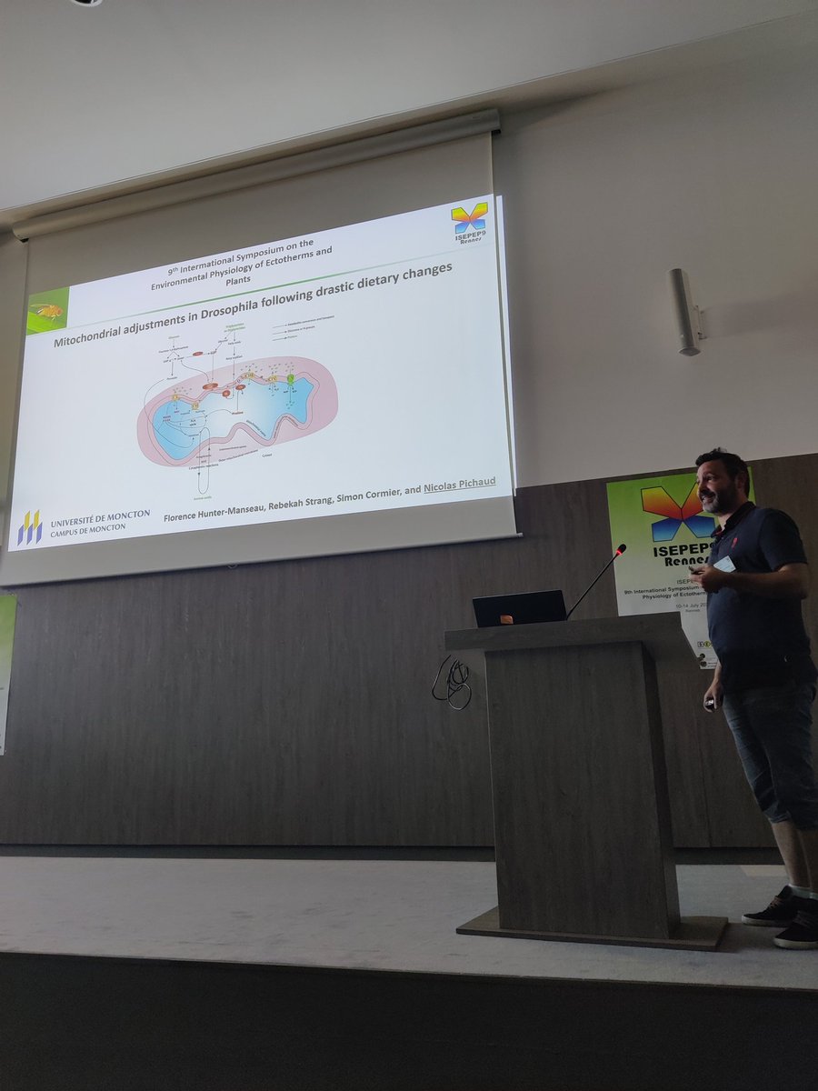 And the last ever talk of the symposium is by Nicolas Pichaud on the mitochondrial adjustments in Drosophila following drastic dietary changes ! 

#ISEPEP9