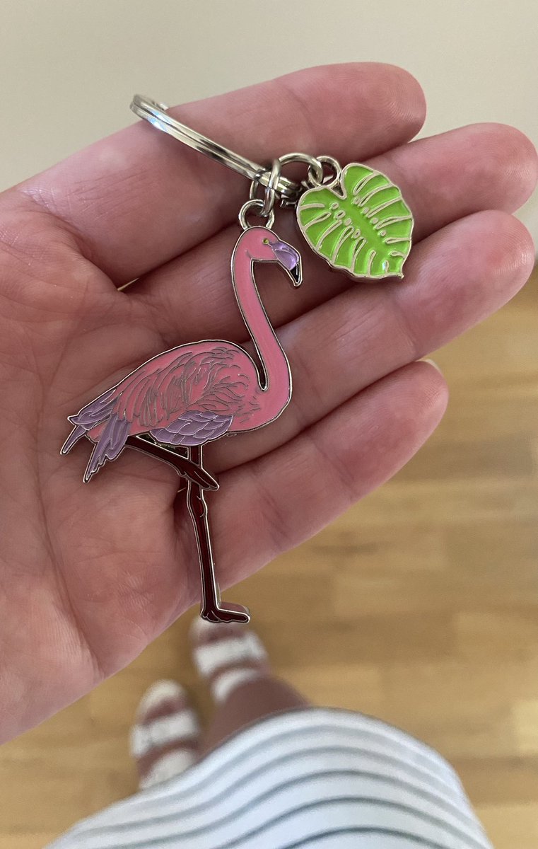 MrsVeriTea's tweet photo. Love is… when your tween son knows you like a #PrettyFlamingo &amp; your #TwitterFriends “do a flamingo thing on a Friday” so he sends a pic in the middle of his school trip &amp; buys you a flamingo keyring with his spending money.🦩#FYFlamingoF @TeacherPaul1978 @pennywpennyw @fidsta77 https://t.co/UdFl8tZ2Qp
