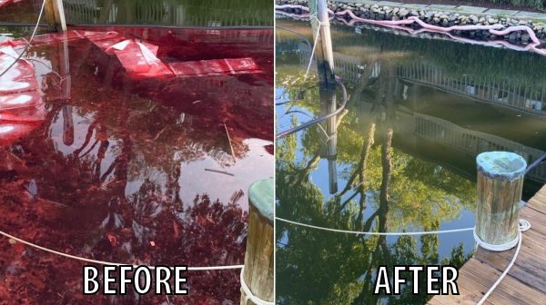 BAY BULLETIN 7/13/22: Large Fuel Spill in Annapolis Creek - mailchi.mp/chesapeakebaym…