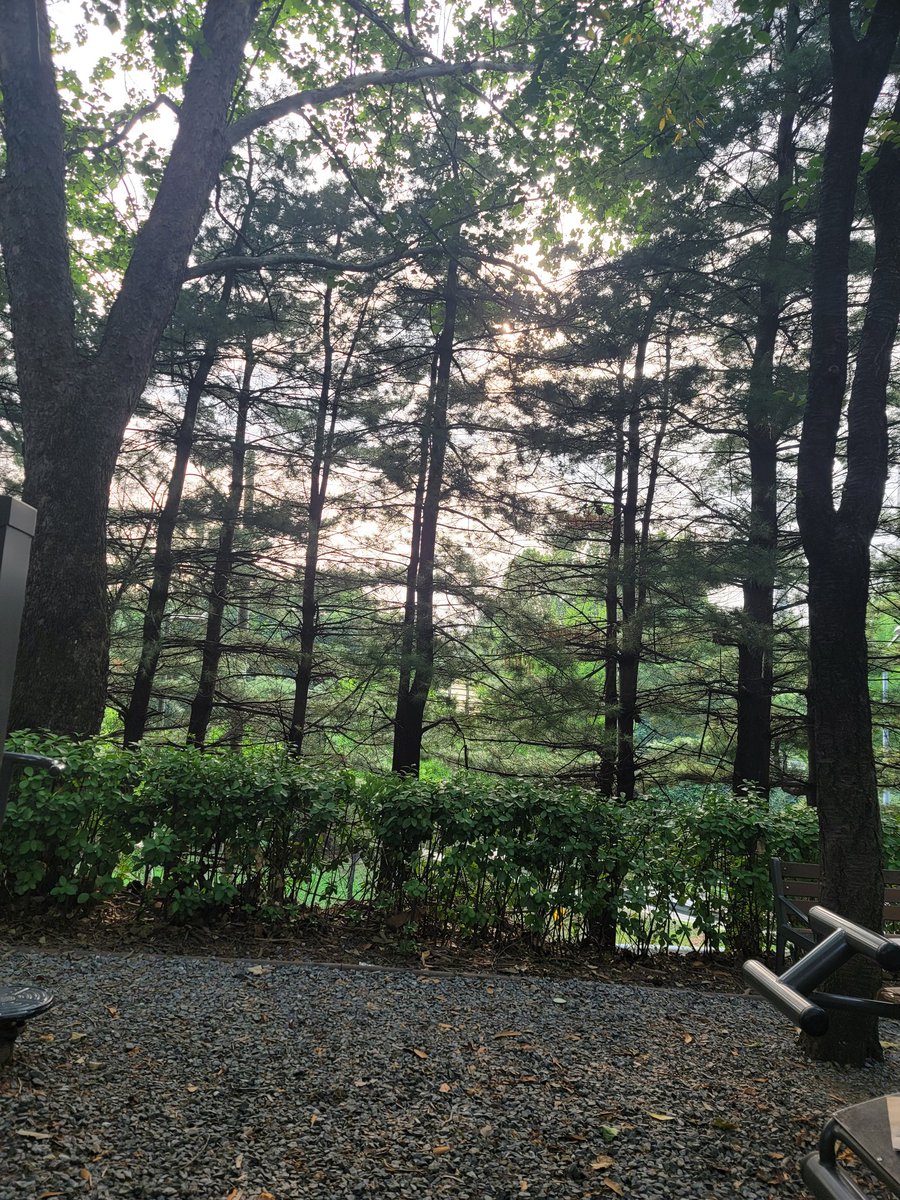 비가 오니  생각이  더 나네요~~
스팽 펠라  수치 등 조금하드한거 좋아하는 40-50대 마조펨섭 함께 동행해요~~^^
라인 hye8960