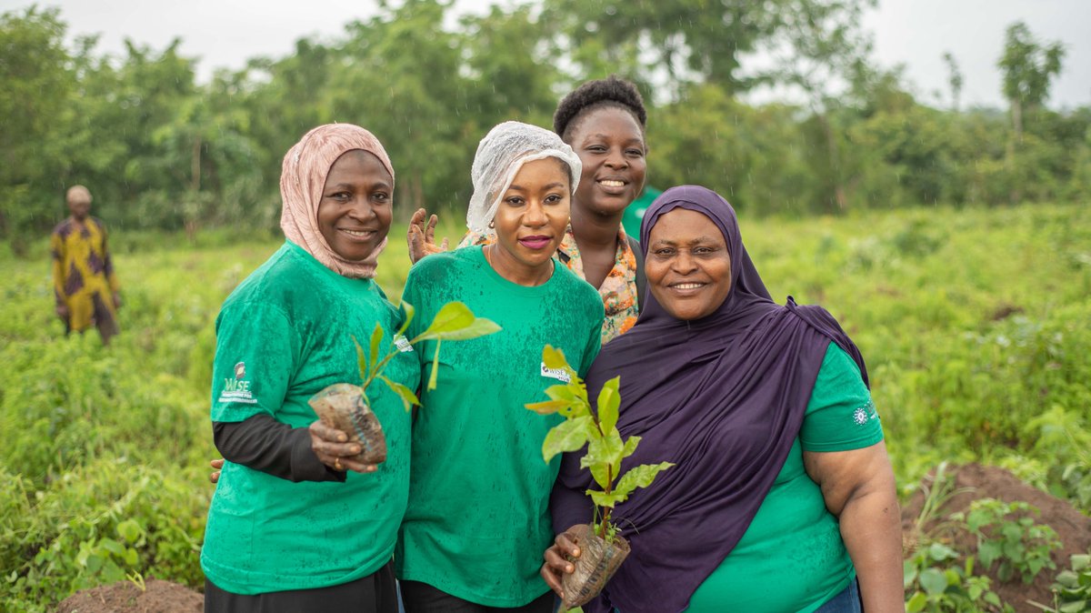NigeriaWise's tweet photo. Photos Speak!
Women farmers in action during the 2022 WISE Tree Growing Enterprise for Food Security and Climate Change Mitigation in Kwara State, Nigeria.
#WISE
#WISEFoodHub
#WEA
#FoodSecurity
#SaveOurEcosystem
#ClimateAction
#SDGs https://t.co/2XTxQPNRvs
