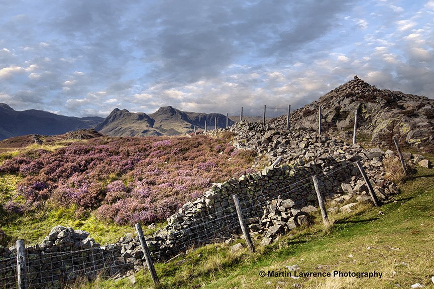 It’s getting that time of year when the Heather starts to bloom in the Lakes. End of July and August the lakes always puts on a show. View across Lingmoor to the Langdales #lakedistrict #thelangdales #martinlawrencephotography #heather #lingmoor #Cumbria #landscapes #photography