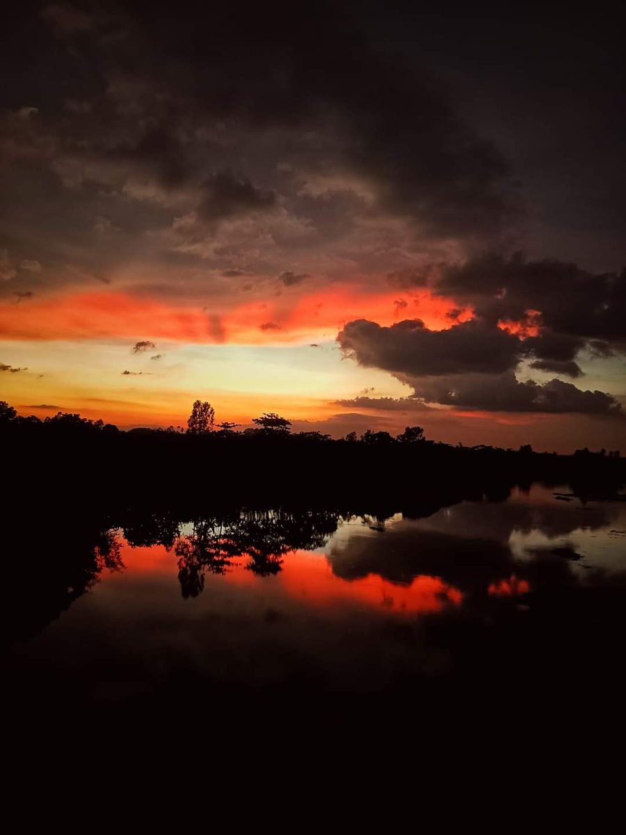 PrinceS89385045's tweet photo. Fire in the evening sky❤️‍🔥

#sky #redsky #skynews 
#beutifulsky #nature https://t.co/jD3DN2BT9N