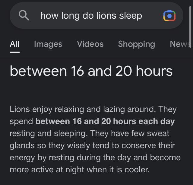 j_stocky's tweet photo. One of the requirements to be an Apex Predator is to sleep a heck  ton. https://t.co/IklAZ1uHOv