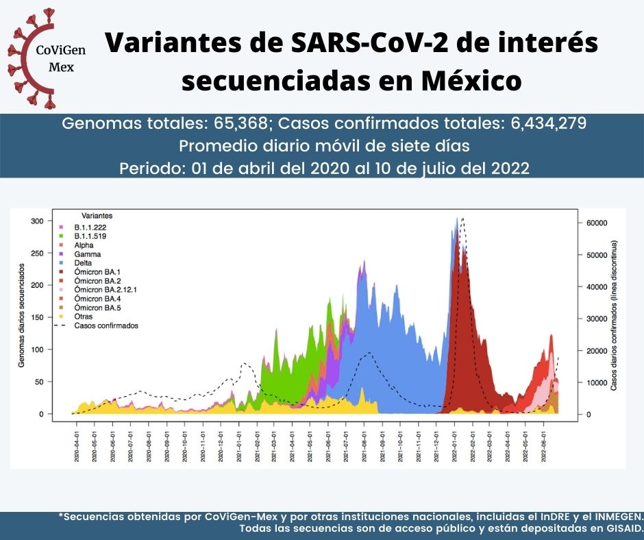 CoViGenMex's tweet photo. Número de genomas de #SARSCoV2 secuenciados diariamente en México 🇲🇽 según su fecha de toma de muestra para identificar sus variantes (curvas con áreas) en el contexto de casos diarios confirmados a lo largo de cinco olas de #COVID19 en el país (línea discontinua)

🧑‍💻🧬🦠👩‍💻

1/3 https://t.co/X1AnZd78zW