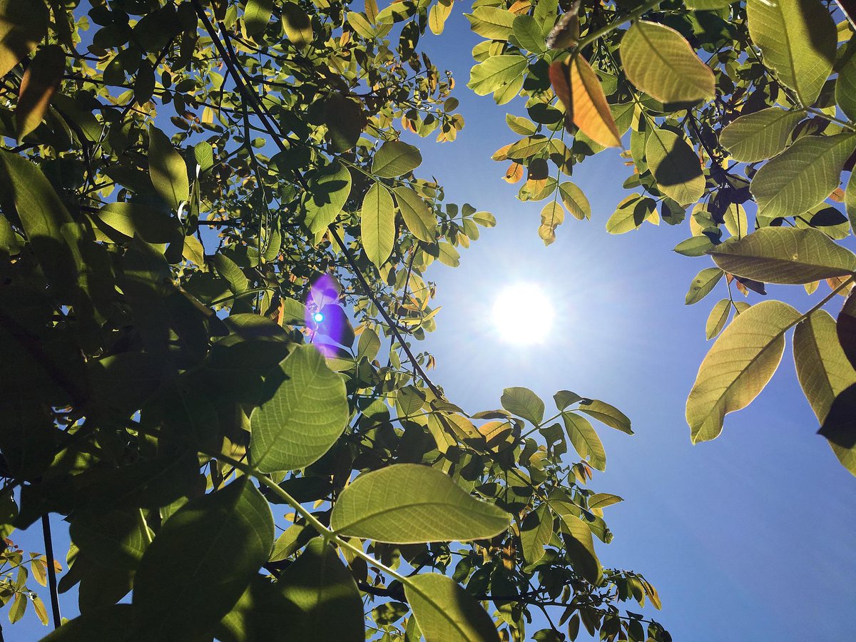 Feeling the heat? Heatwaves affect elderly people particularly.

Keep your resident families and staff informed by equipping your home with Automated Care Messaging (ACM). @PersonCentredSW customers can get ACM free for 3 months until 30/9/22

haelu.co.uk/pcs-offer/?utm…
