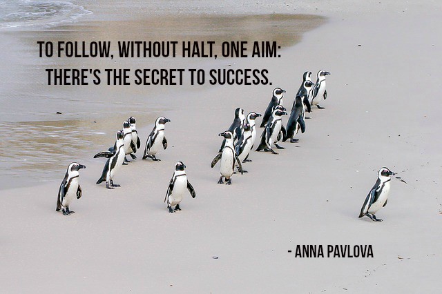 To follow, without halt, one aim: There's the secret to success. - Anna Pavlova #quote