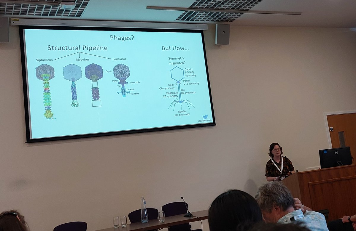 The Faraday Discussion on Challenges in Biological cryoEm #FDcryoEm is in <a href="/SheffieldUni/">The University of Sheffield</a> this week. <a href="/BeckyMenday/">Becky Menday</a> from <a href="/MM_Sheffield/">Molecular Microbiology Sheffield</a> just did an amazing flash talk about her poster on a pipeline for solving phage structures