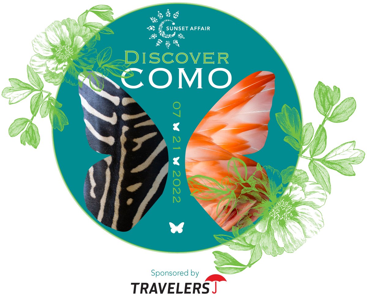 Como Friends tweet media