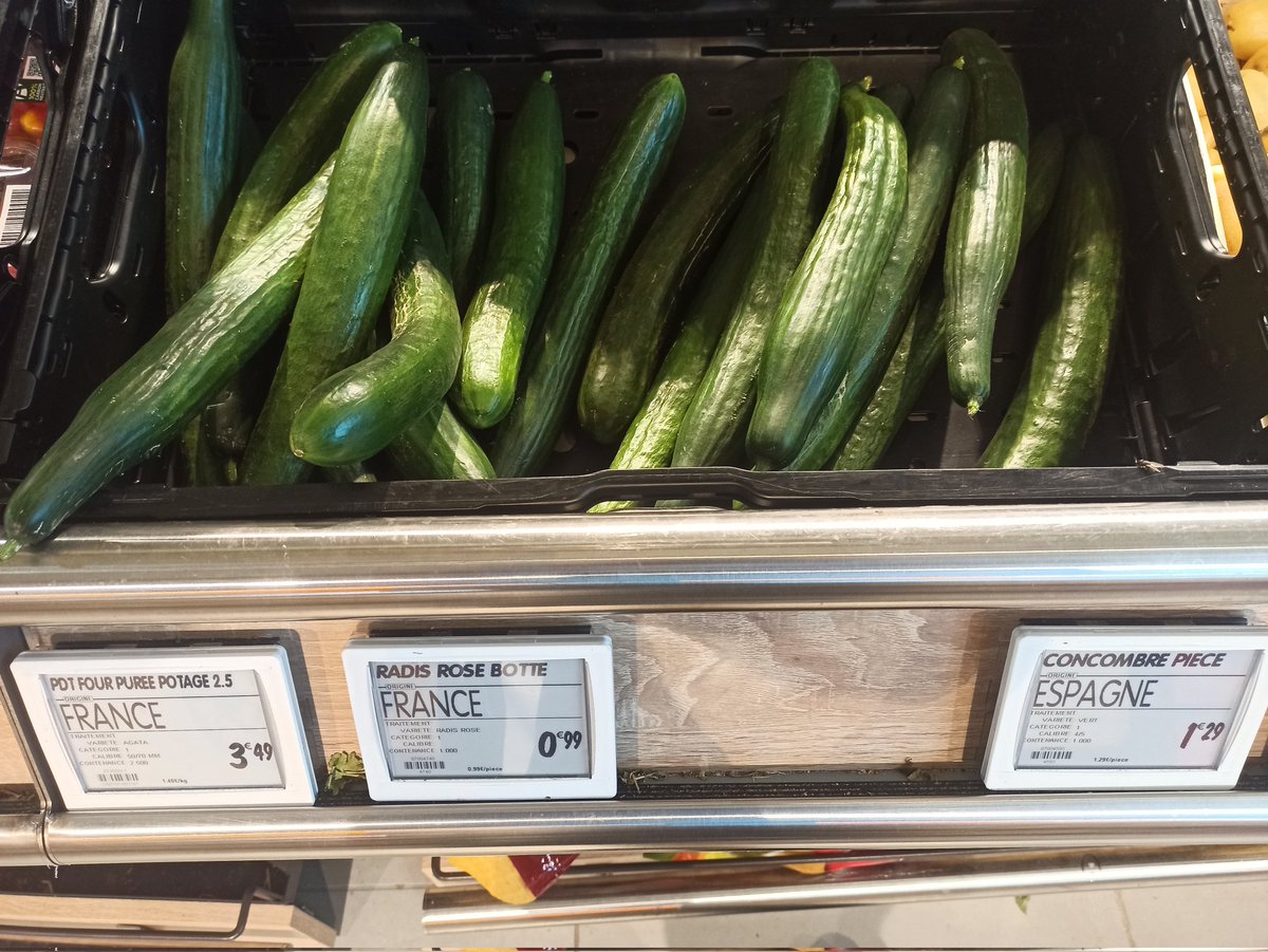 CRYPTO BUBULLΞ 🐟 🐬 🐳 tweet media