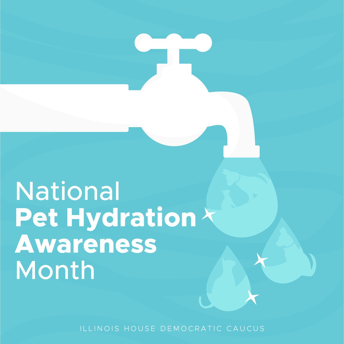 The summer months in Illinois are hot! Our pets can get dehydrated and overheated just like us, but they can't tell us they are struggling. Make sure to keep fresh, clean water close to your pets at all times.