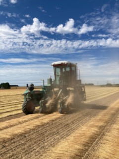 CercledEchanges's tweet image. Un grand merci au Groupe Depestele pour leur accueil aujourd&apos;hui !

Notre équipe #prevention a formé les stagiaires à la conduite et l&apos;entretien d&apos;une enrouleuse à #lin en toute #sécurité !  🚜

Plus d&apos;infos : ce27.fr/formation-m4