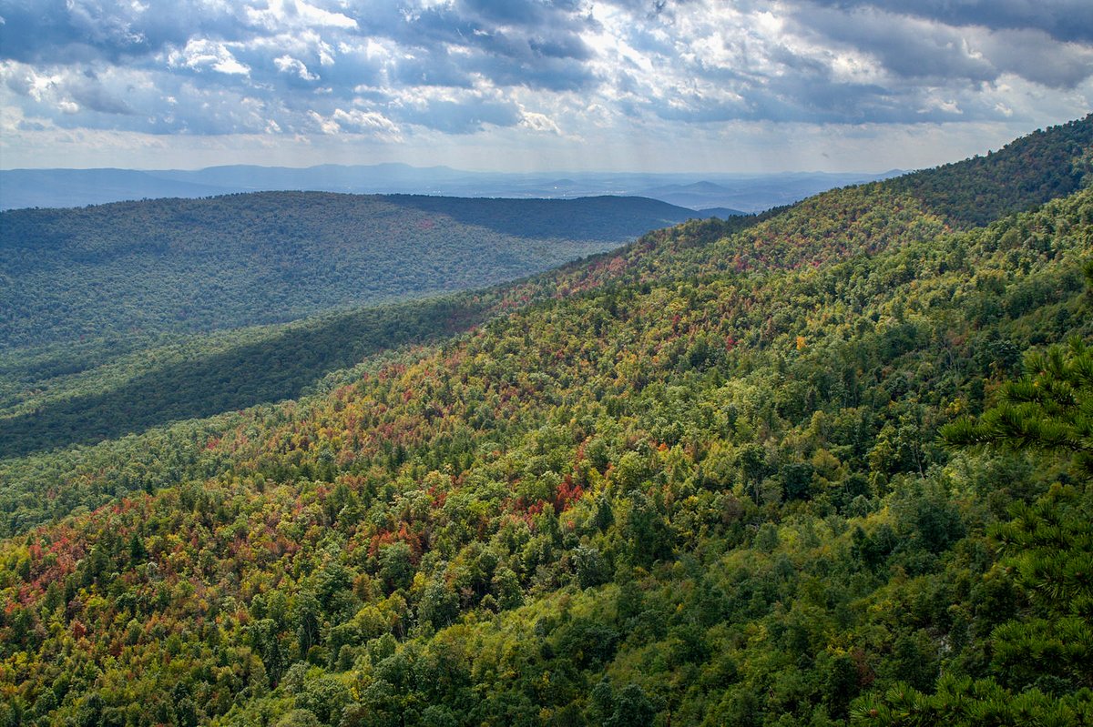 It's #NationalForestWeek!

Virginia is fortunate to have over 1.6 million acres of <a href="/GWJNF/">George Washington and Jefferson National Forest</a> within its borders. Learn more about this incredible forest and all the benefits it provides: ow.ly/1zww50JTj3j

📷 View from Little Sluice Mountain by Aneta Kaluzna / CC