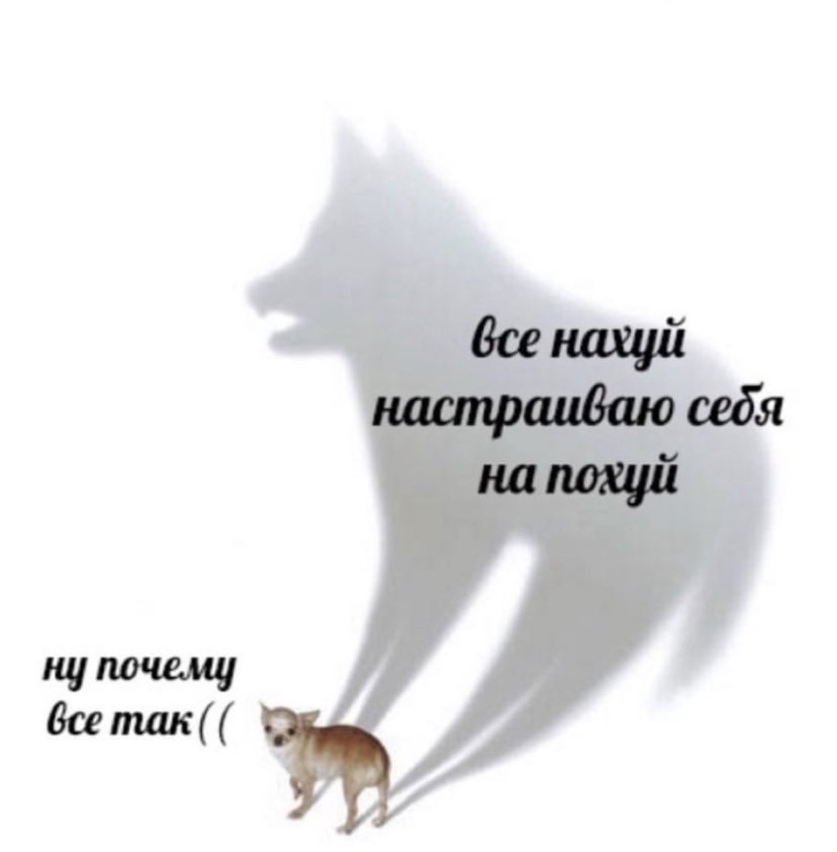 treschenko24's tweet image. Признавайтесь, кто?