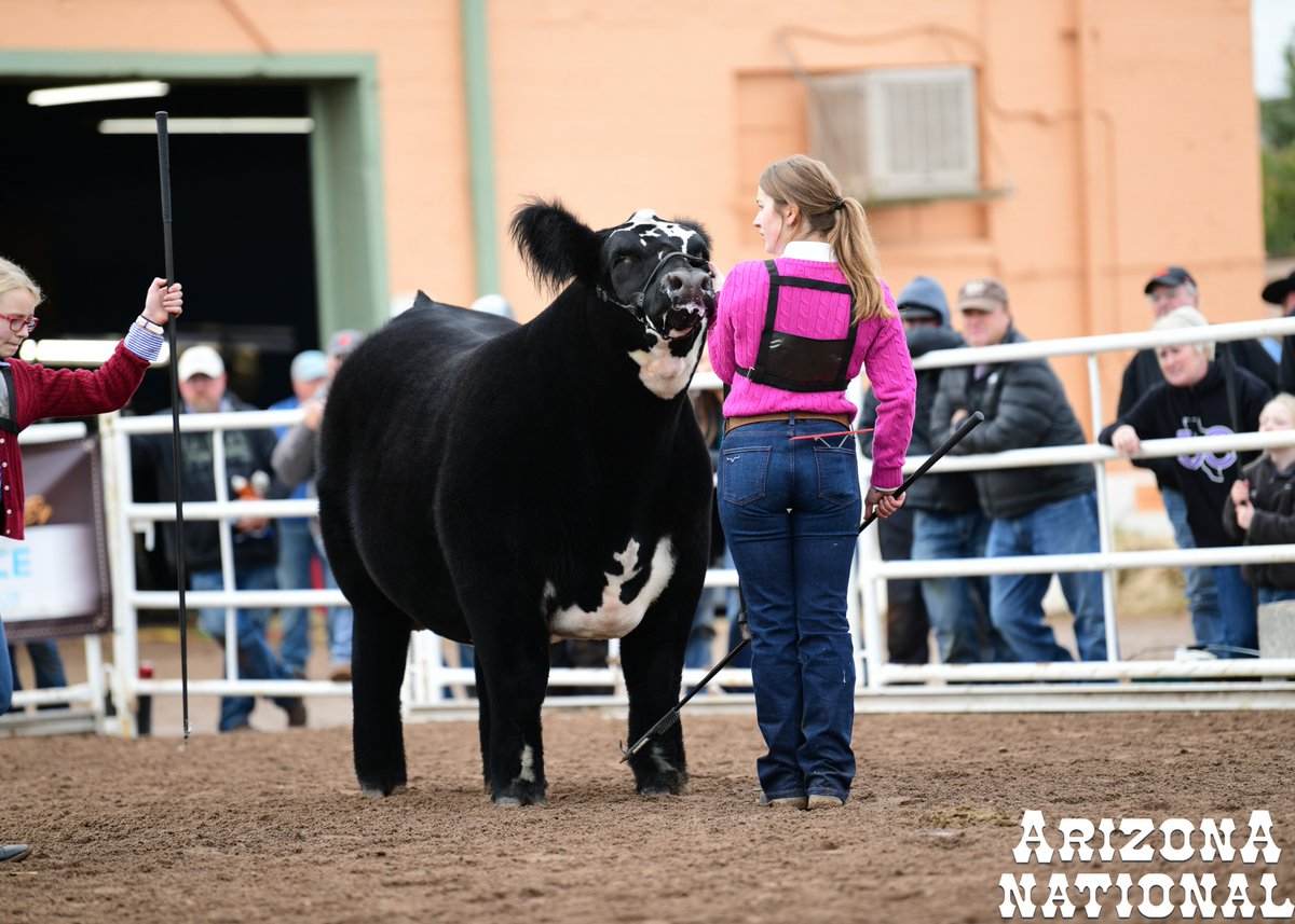 AzNational's tweet photo. POV: That show ring moment. #AZNational https://t.co/i5f9exZC3D