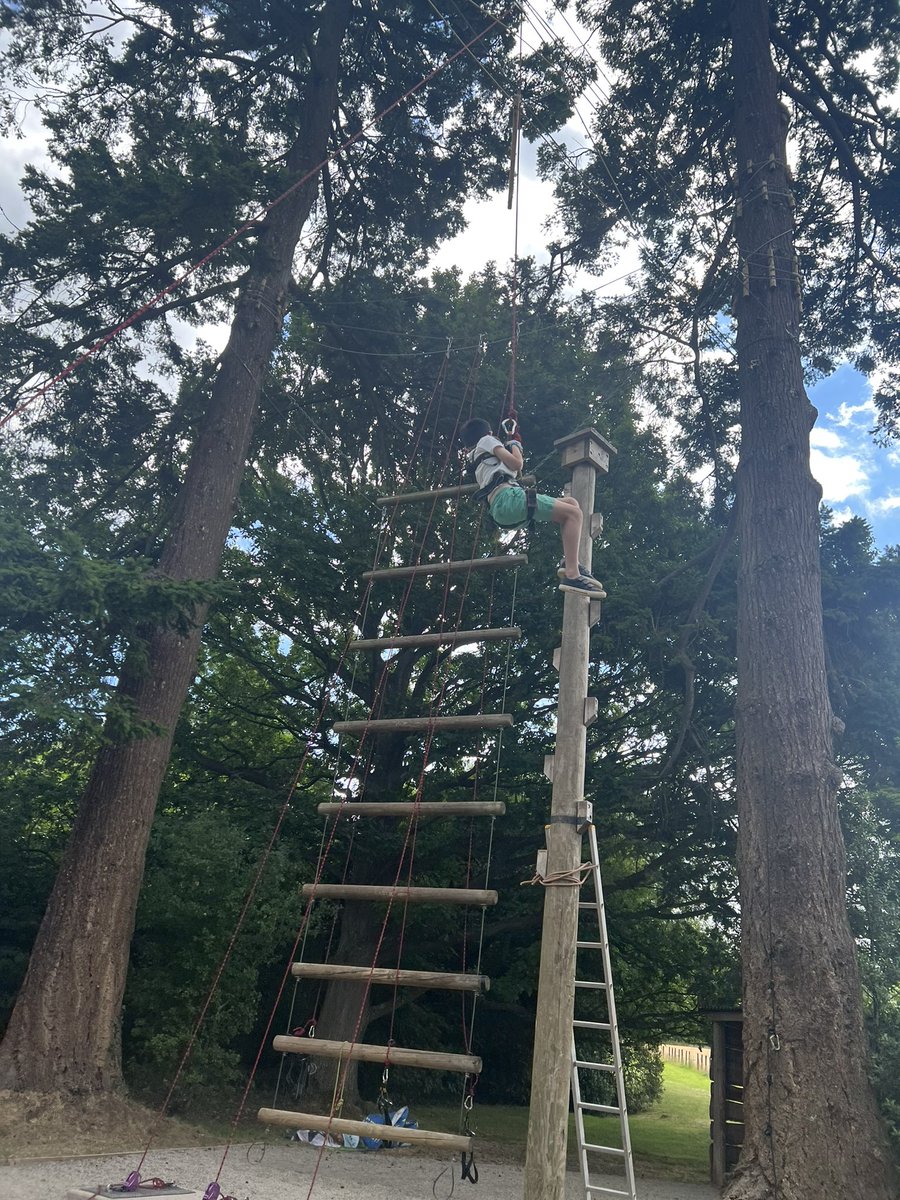 ClaphamManor's tweet photo. Some excellent bravery conquering the trapeze today - well done Year 6! https://t.co/glb7ZhFdFL