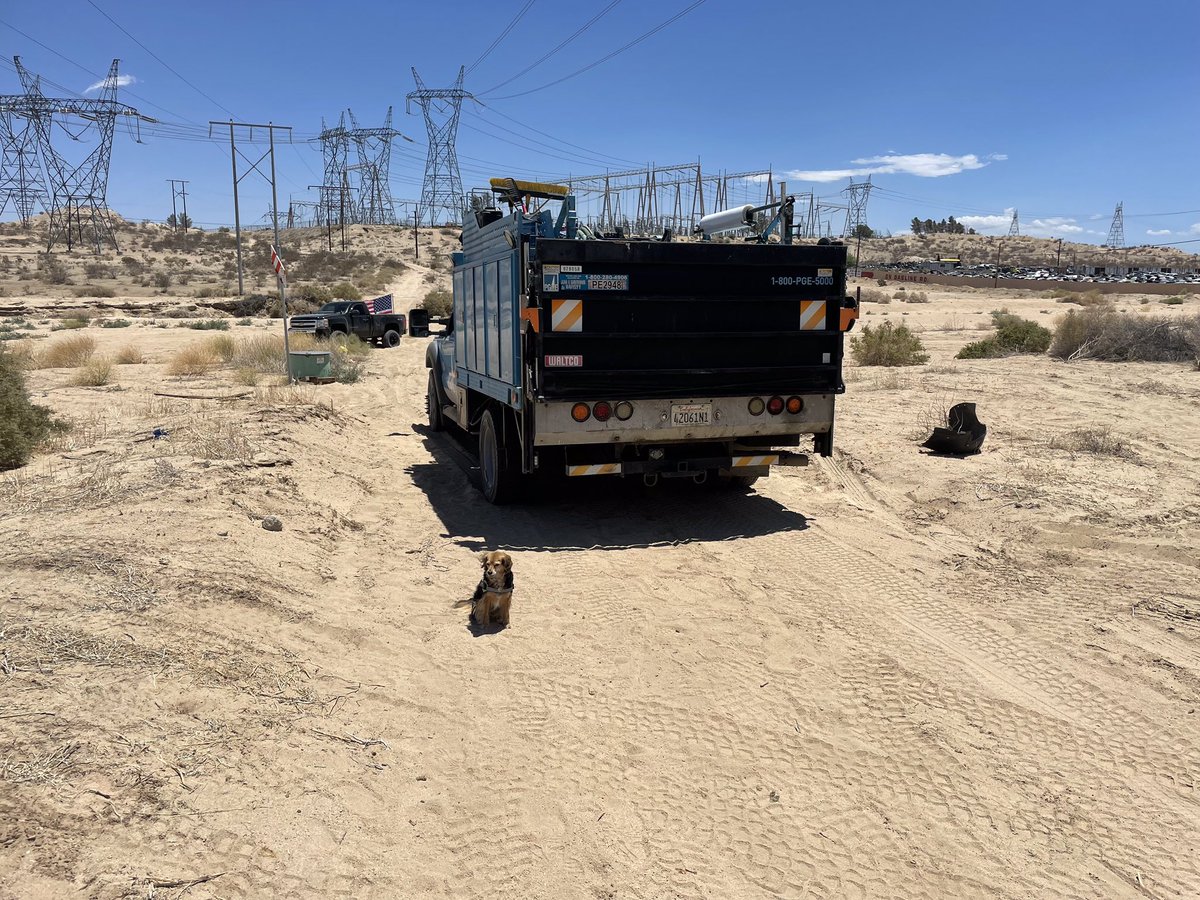 Graychik's tweet image. Desert Recovery: #Victorville (22-41) work crew taking a shortcut got stuck in deep sand - coordinated team effort to get them back on the job. Good stuff! #Harlie #OffRoadRecovery