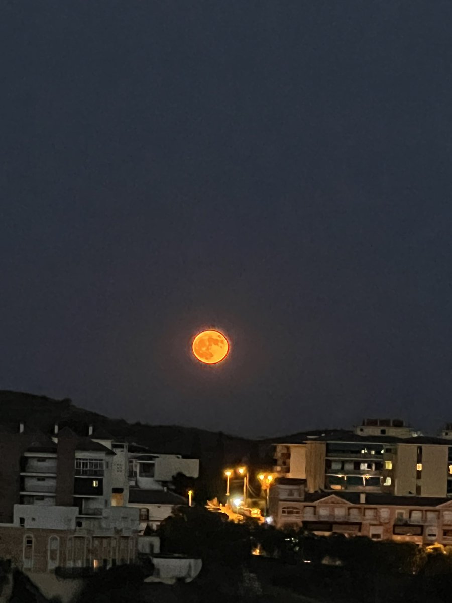 Luna_Javierre's tweet photo. pienso en ti cuando miro la luna https://t.co/MVtGoQrdrC