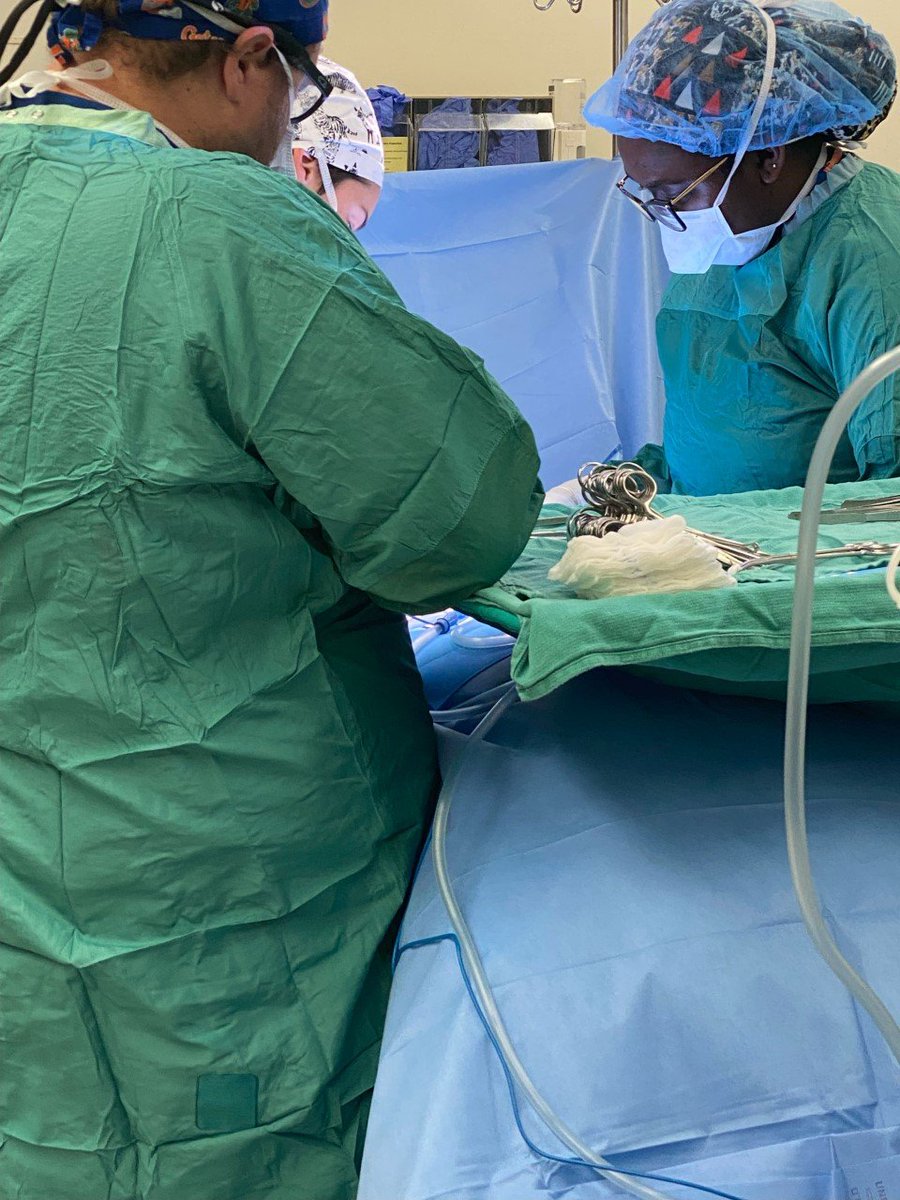 FortingoKuna's tweet photo. This aspiring urologist is OFFICIALLY a 4th year! The past couple of months of Step exams, shelves, and OSCE were tiring but a fantastic home Sub-I  @mcg_urology  has me re-energized and ready for  aways and getting more involved in Urology
#UroSoMe #MedTwitter #Urology https://t.co/QPxkEzSN7X
