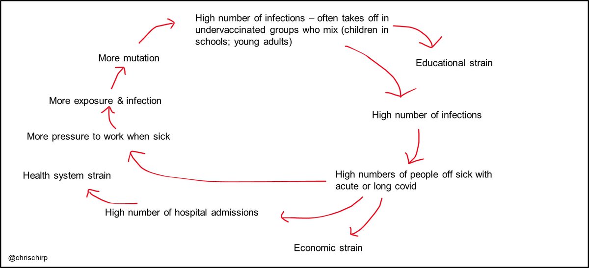 SixandLaura's tweet image. #pandemic_dynamics model
#schools #children #HCW #transmission_dynamics 
#LongCovid #reinfection #mutation #hospitalization 
⬆️#covid ➡️ #healthcare_system #school_system #economy #QOL⬇️ 

#SARSCoV2_timeline #Summer2022