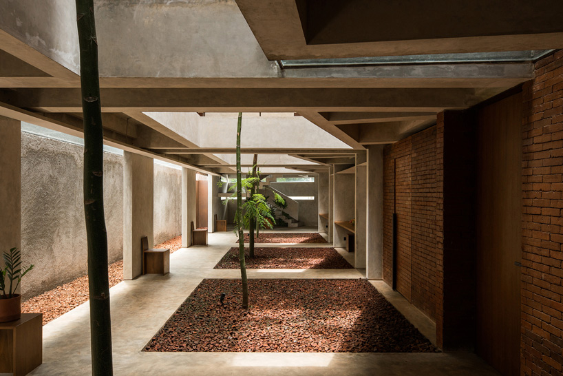 designboom tweet media