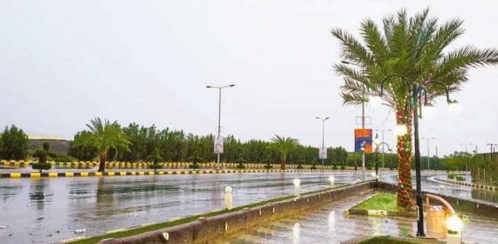 الصورة