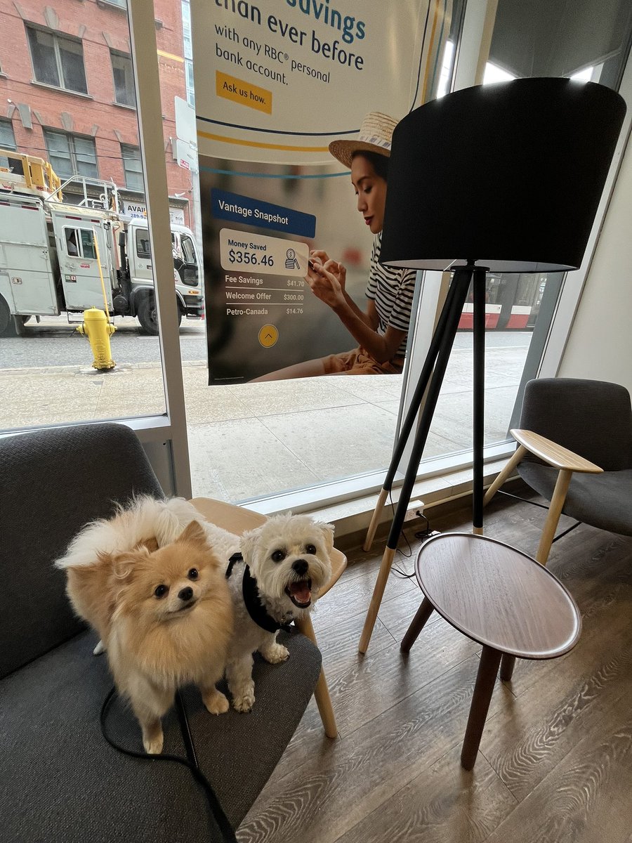 Steph Dagher tweet media