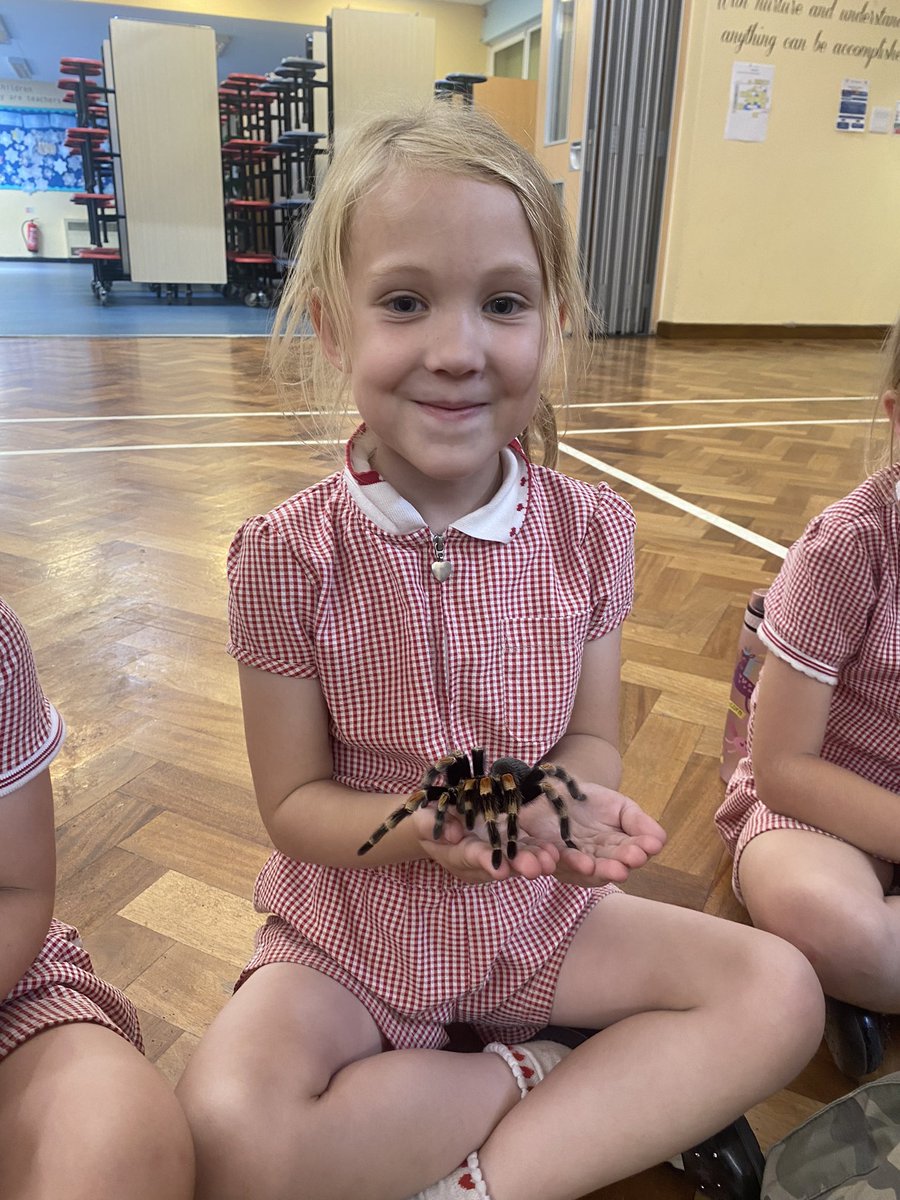 We absolutely loved Safari Stu today, the children were so brave and gentle with all the animals 🪳🐍🐢🦎