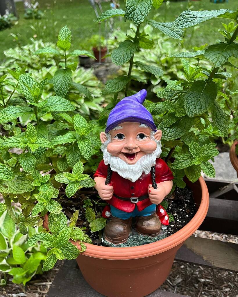 realmencrochet's tweet photo. Happy Gnome, Happy Garden! #gardengnome  #crafty #gnomepainting https://t.co/xULVOi9E8b https://t.co/WMS5soHIDK
