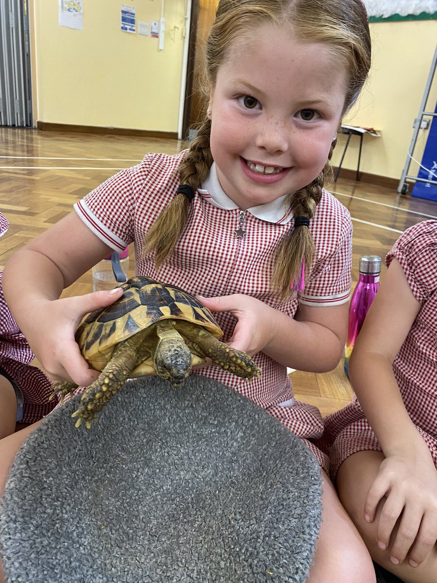 We absolutely loved Safari Stu today, the children were so brave and gentle with all the animals 🪳🐍🐢🦎