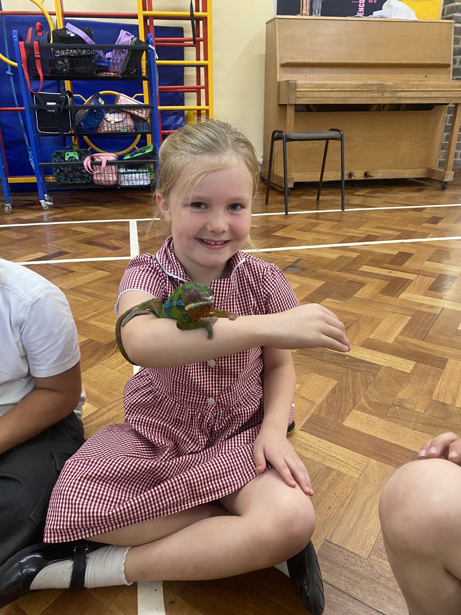 We absolutely loved Safari Stu today, the children were so brave and gentle with all the animals 🪳🐍🐢🦎