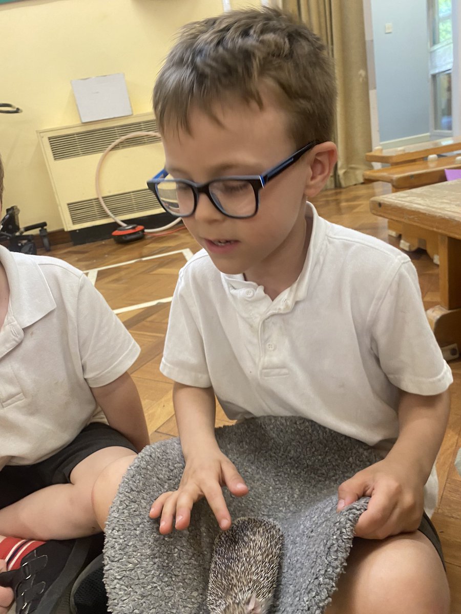 We absolutely loved Safari Stu today, the children were so brave and gentle with all the animals 🪳🐍🐢🦎