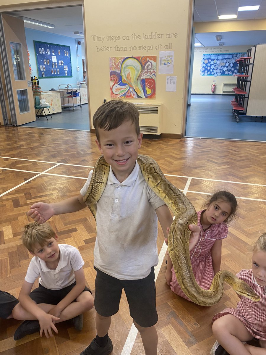 We absolutely loved Safari Stu today, the children were so brave and gentle with all the animals 🪳🐍🐢🦎