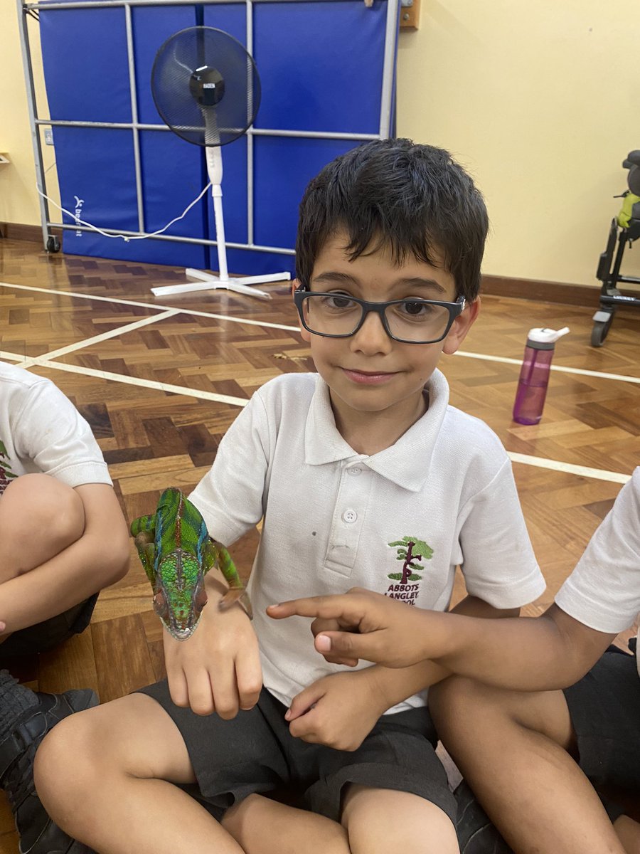 We absolutely loved Safari Stu today, the children were so brave and gentle with all the animals 🪳🐍🐢🦎